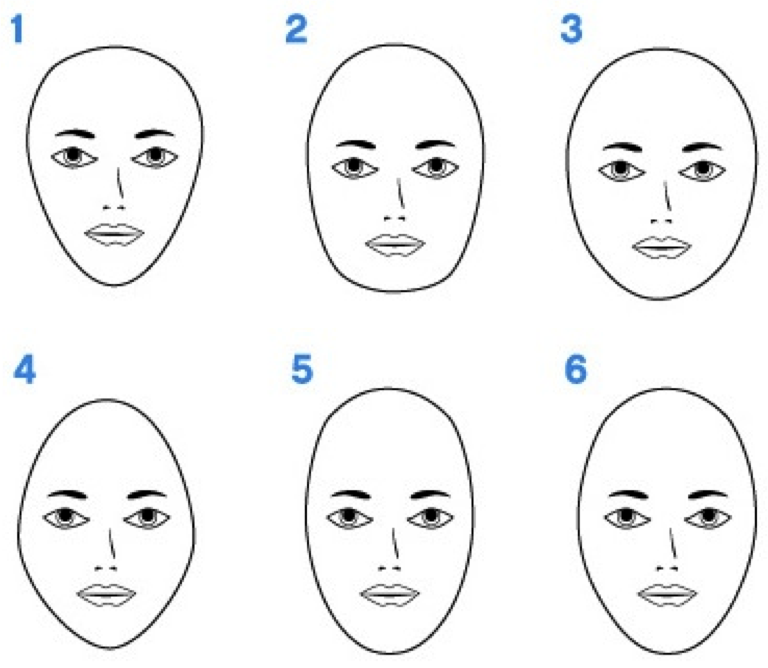 hair style free pictures face shape