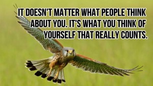 Inspirational Quotes that will get you inspired everydays of you life