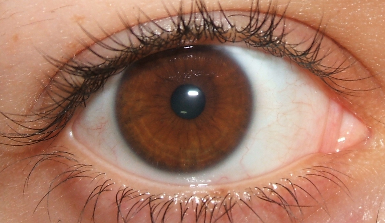 light brown eyes