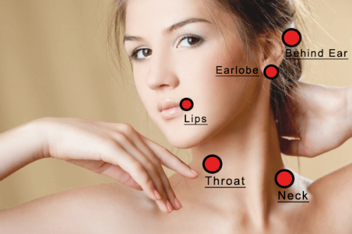 Female Errogenous Zones