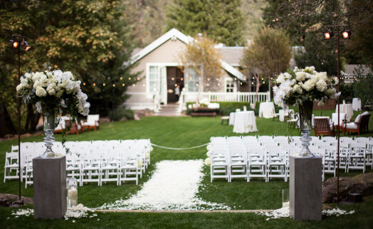 Backyard Wedding Elegant