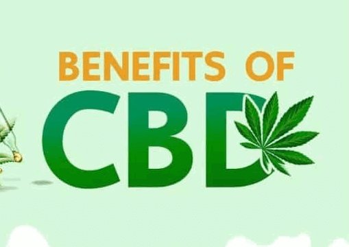 Reasons to Hop on the CBD Trend