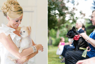 Incorporating Your Dog Into Your Wedding