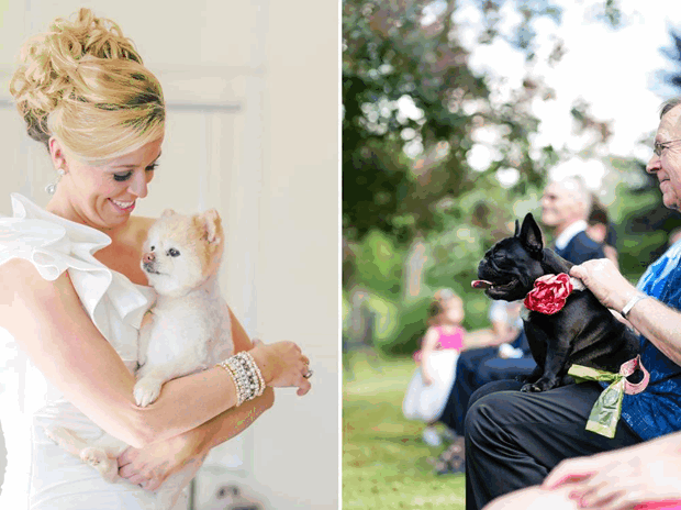 Incorporating Your Dog Into Your Wedding